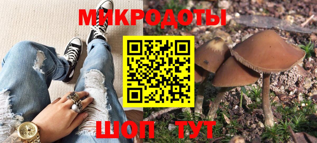 Галлюциногенные грибы мицелий Ачхой-Мартан