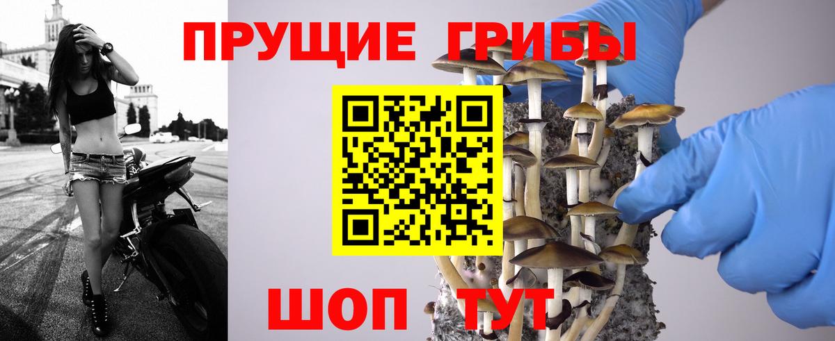 Галлюциногенные грибы ЛСД  Вход с VPN  Ачхой-Мартан 